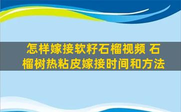 怎样嫁接软籽石榴视频 石榴树热粘皮嫁接时间和方法